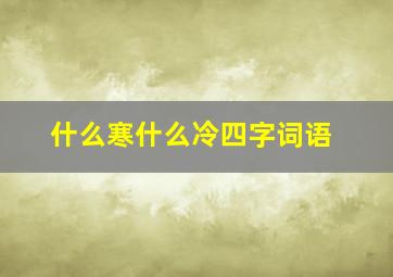 什么寒什么冷四字词语