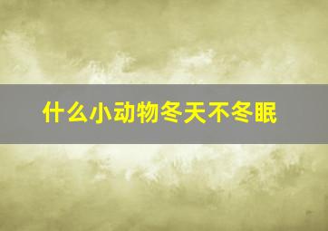 什么小动物冬天不冬眠