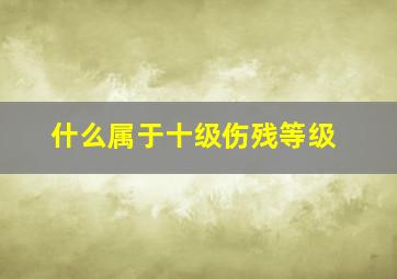 什么属于十级伤残等级