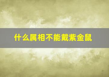 什么属相不能戴紫金鼠