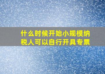 什么时候开始小规模纳税人可以自行开具专票