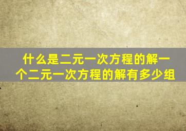 什么是二元一次方程的解一个二元一次方程的解有多少组