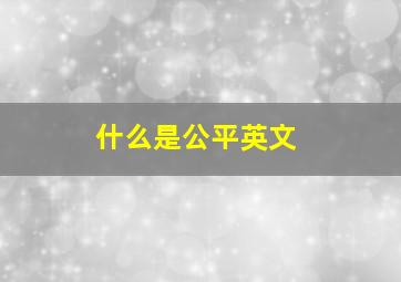 什么是公平英文