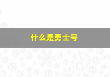 什么是勇士号