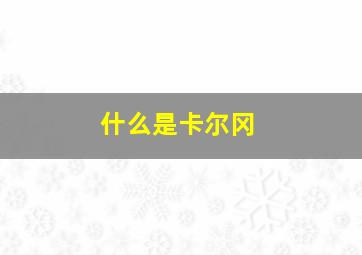 什么是卡尔冈