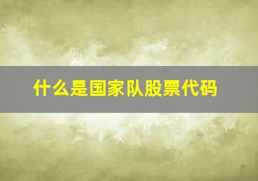 什么是国家队股票代码