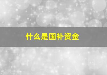 什么是国补资金