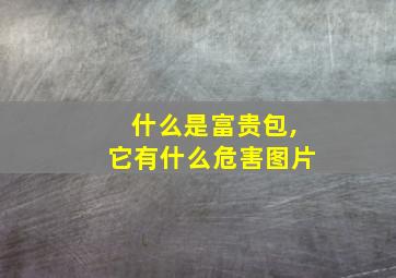 什么是富贵包,它有什么危害图片