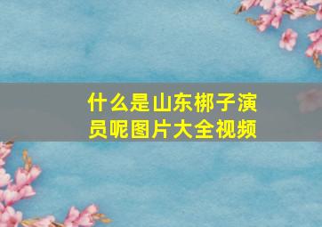 什么是山东梆子演员呢图片大全视频