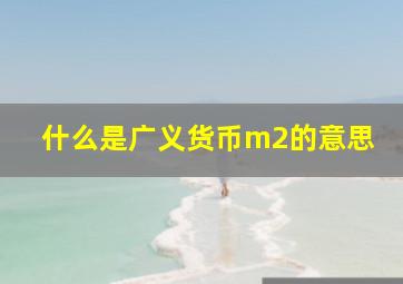 什么是广义货币m2的意思