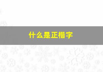 什么是正楷字