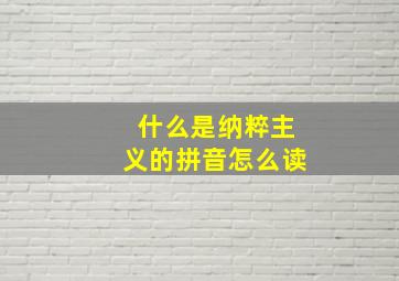 什么是纳粹主义的拼音怎么读