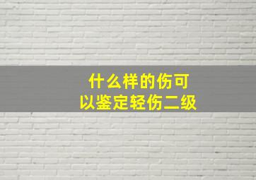 什么样的伤可以鉴定轻伤二级