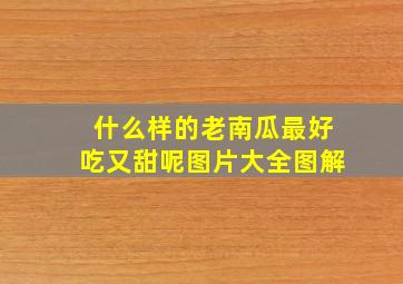 什么样的老南瓜最好吃又甜呢图片大全图解