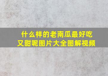 什么样的老南瓜最好吃又甜呢图片大全图解视频