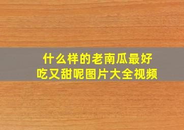 什么样的老南瓜最好吃又甜呢图片大全视频