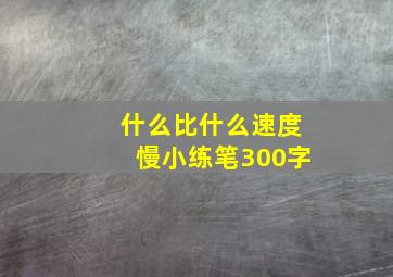 什么比什么速度慢小练笔300字