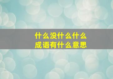 什么没什么什么成语有什么意思