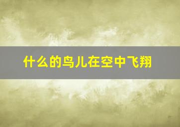 什么的鸟儿在空中飞翔