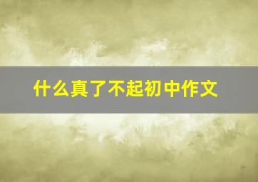 什么真了不起初中作文