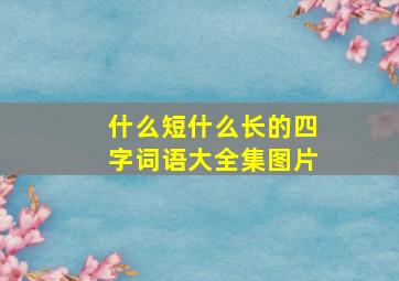 什么短什么长的四字词语大全集图片