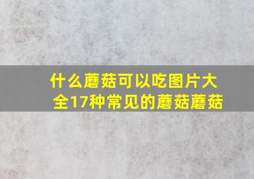 什么蘑菇可以吃图片大全17种常见的蘑菇蘑菇