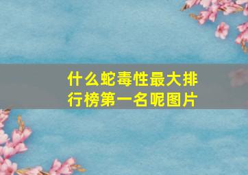 什么蛇毒性最大排行榜第一名呢图片