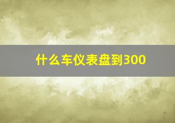 什么车仪表盘到300