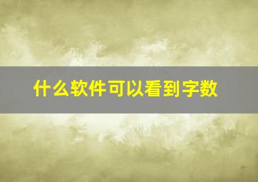 什么软件可以看到字数