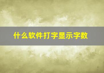 什么软件打字显示字数