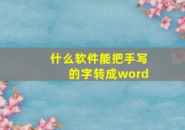 什么软件能把手写的字转成word