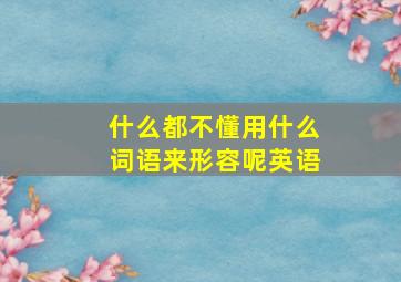 什么都不懂用什么词语来形容呢英语