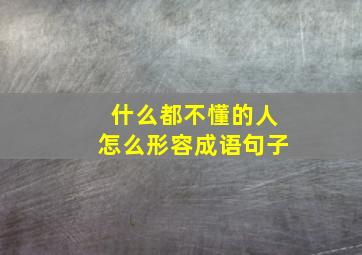 什么都不懂的人怎么形容成语句子