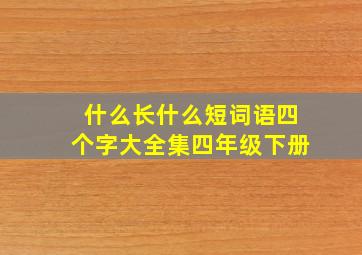 什么长什么短词语四个字大全集四年级下册