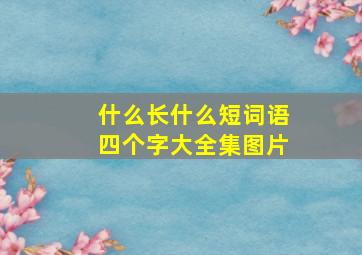 什么长什么短词语四个字大全集图片