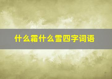 什么霜什么雪四字词语