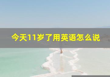 今天11岁了用英语怎么说