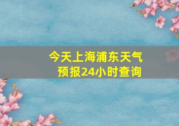 今天上海浦东天气预报24小时查询