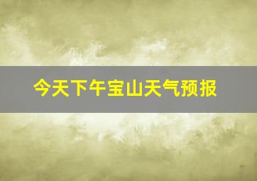 今天下午宝山天气预报