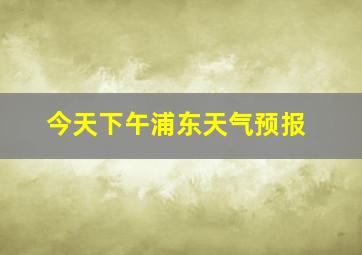 今天下午浦东天气预报