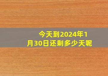 今天到2024年1月30日还剩多少天呢