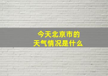 今天北京市的天气情况是什么