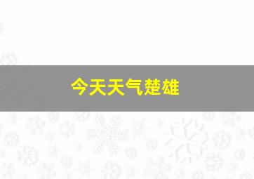 今天天气楚雄