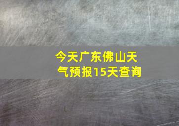 今天广东佛山天气预报15天查询