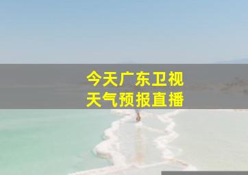 今天广东卫视天气预报直播