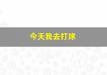 今天我去打球