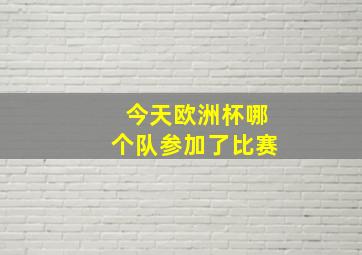 今天欧洲杯哪个队参加了比赛