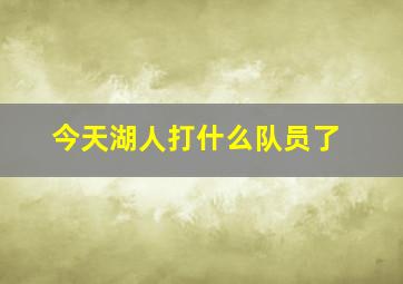 今天湖人打什么队员了