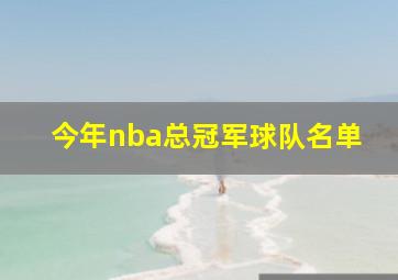 今年nba总冠军球队名单