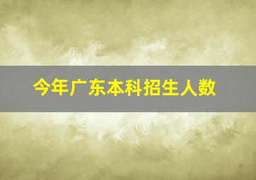 今年广东本科招生人数